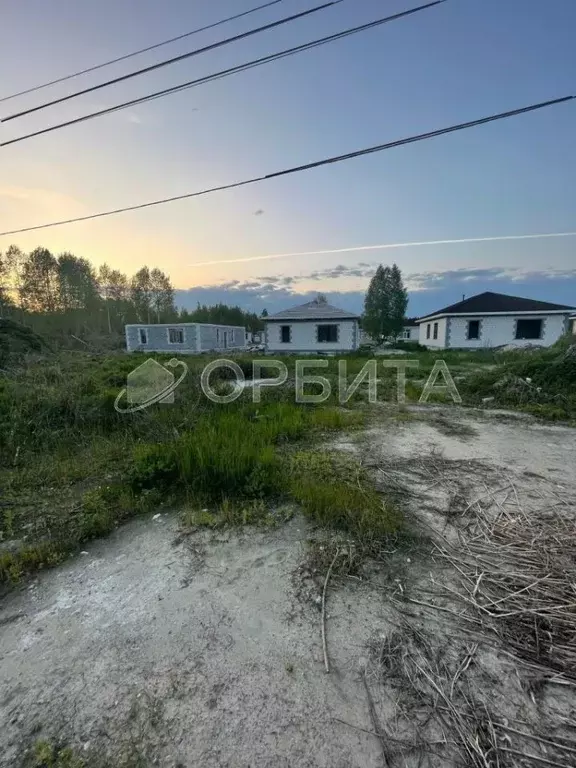 Участок в Тюменская область, Нижнетавдинский район, с. Тюнево  (10.0 ... - Фото 1