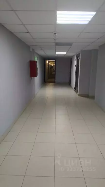 Помещение свободного назначения в Московская область, Домодедово ... - Фото 1