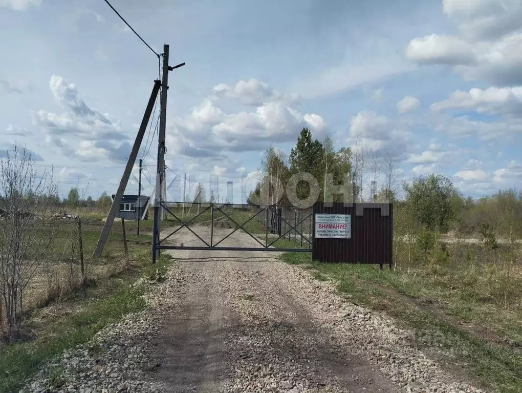 Участок в Новосибирская область, Колыванский район, Пять озер СНТ  ... - Фото 0