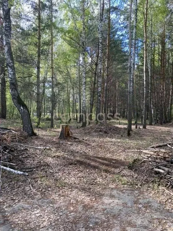 Участок в Тюменская область, Тюмень  (7.5 сот.) - Фото 0