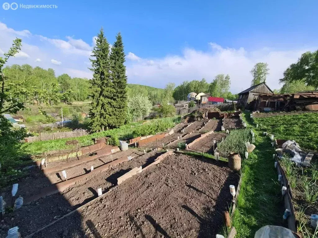 Участок в Мошковский район, некоммерческое садоводческое товарищество ... - Фото 1