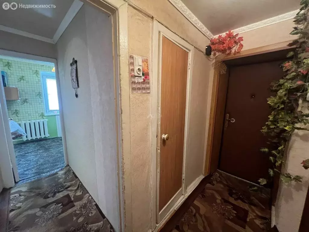 2-комнатная квартира: Саров, улица Александровича, 24 (42 м) - Фото 1