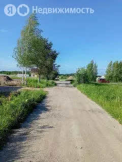 Участок в Ярославский муниципальный округ, дачное некоммерческое ... - Фото 2