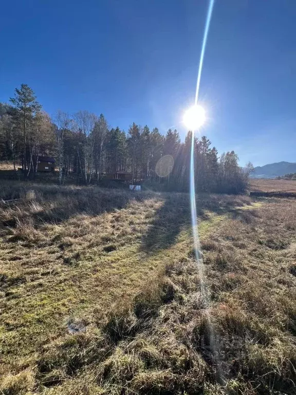 Участок в Алтай, Чемальский район, с. Турбаза Катунь  (8.0 сот.) - Фото 2