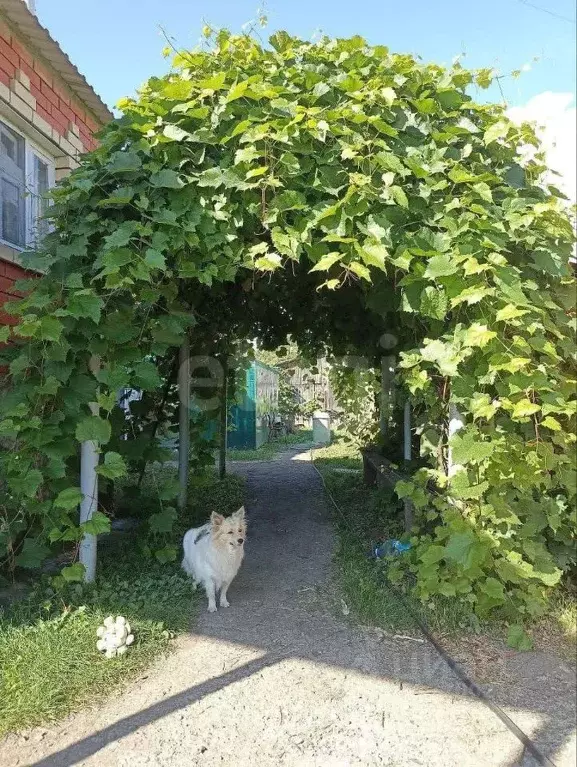 Дом в Мордовия, Саранск городской округ, с. Куликовка пер. Крупской, ... - Фото 1