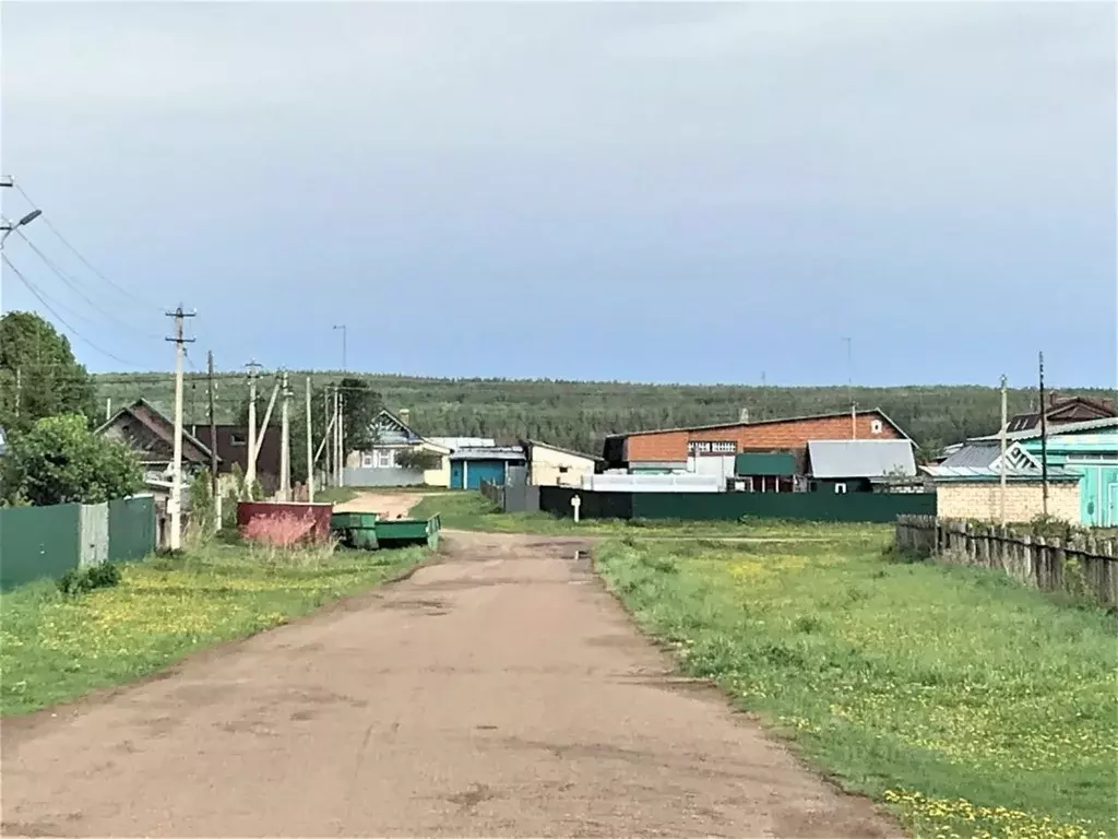 Участок в Татарстан, Лаишевский район, с. Державино Агайбашская ул., 2 ... - Фото 1