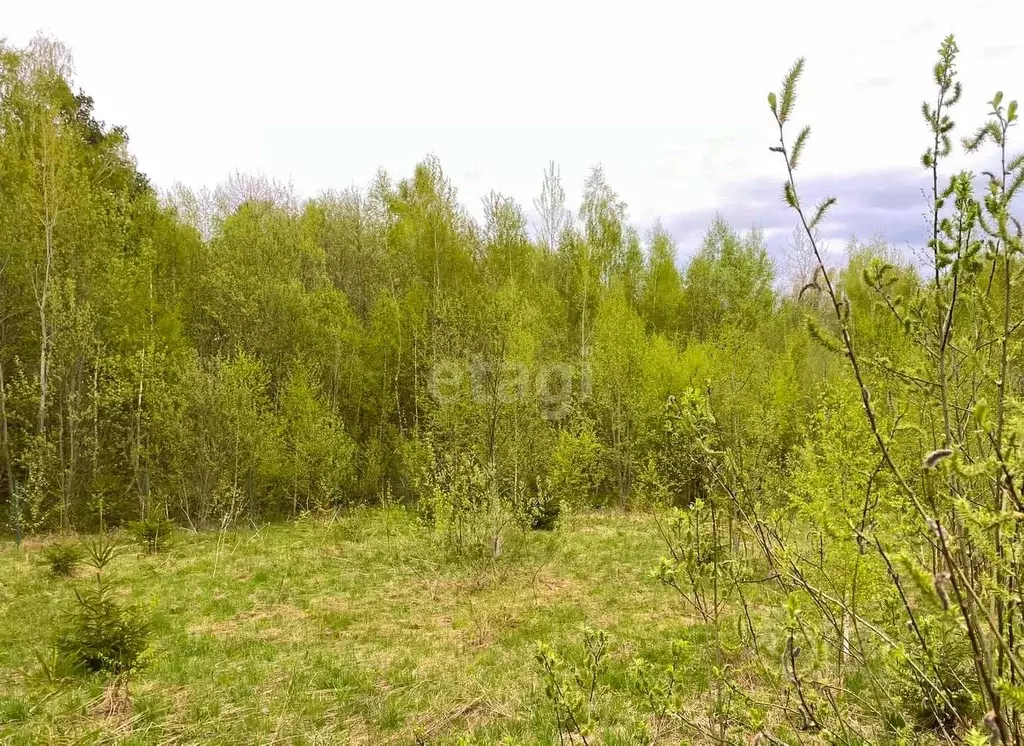 Участок в Калужская область, Боровский район, Совьяки с/пос, Солнечная ... - Фото 0