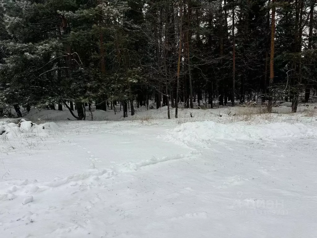 Участок в Московская область, Богородский городской округ, д. Марьино ... - Фото 0