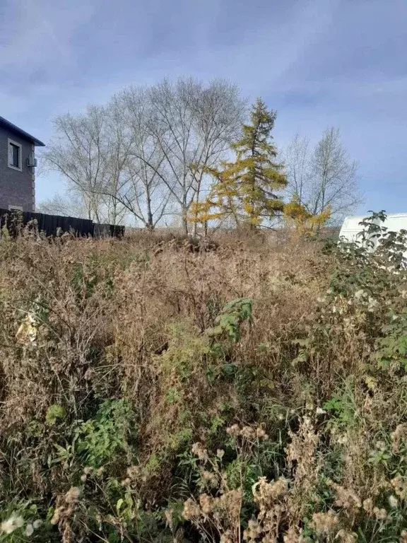 Участок в Свердловская область, Талицкий городской округ, с. Бутка ул. ... - Фото 1