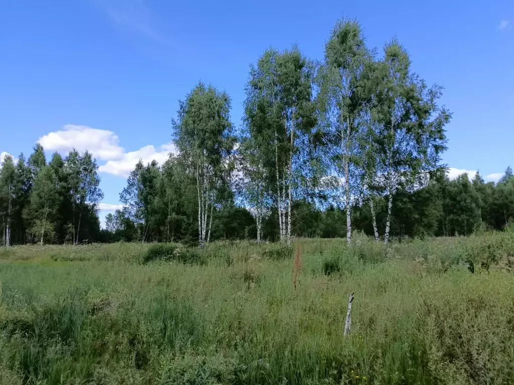 Продается участок в д. Тимково - Фото 2