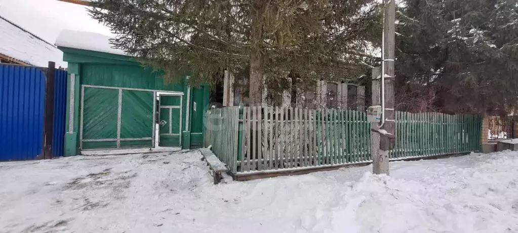 Дом в Челябинская область, Касли ул. Дзержинского, 13 (36 м) - Фото 2