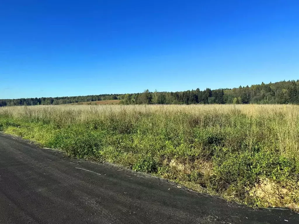 Участок в Московская область, Дмитровский муниципальный округ, ... - Фото 1