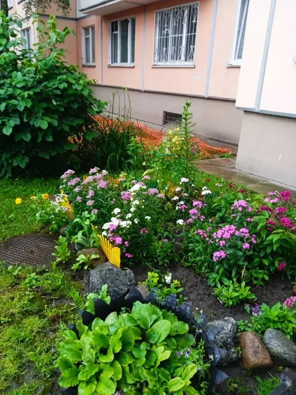 1-к кв. Санкт-Петербург Белградская ул., 20К1 (30.94 м) - Фото 0