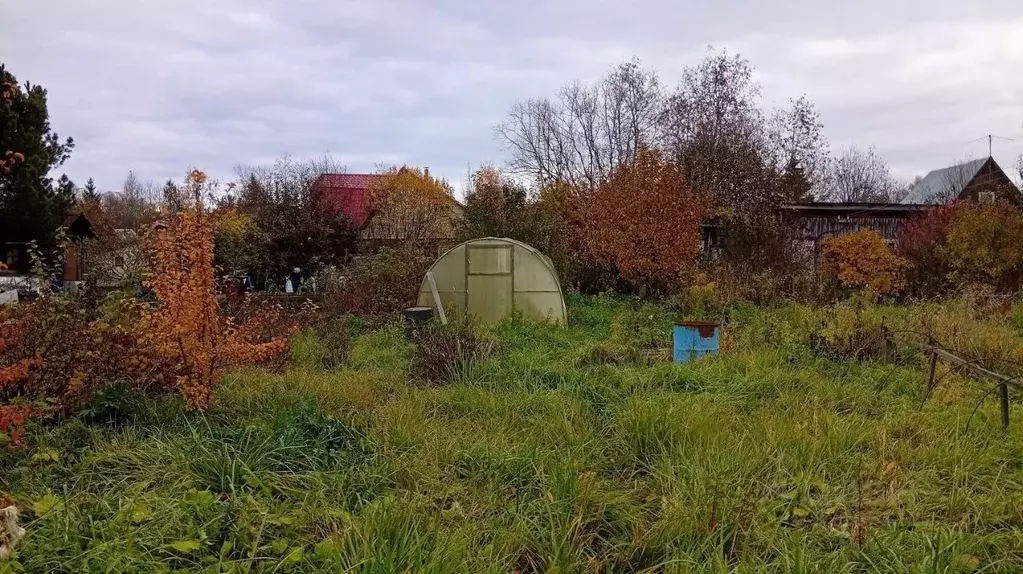 Дом в Вологодская область, д. Матвеевское (Марковский сельсовет), ... - Фото 0