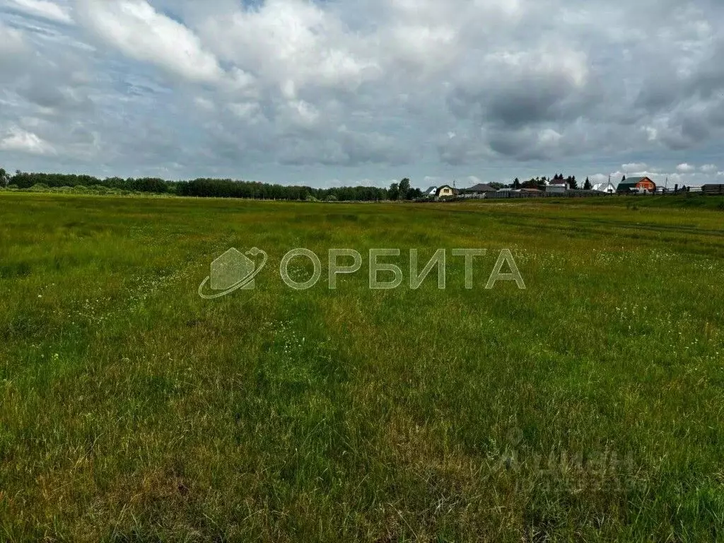 Участок в Тюменская область, Тюменский муниципальный округ, д. ... - Фото 2