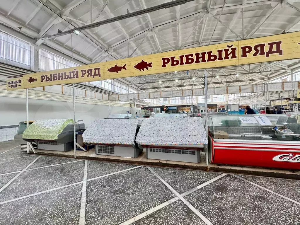 Торг площадь с холодильным оборудованием, от 2 м2 - Фото 1