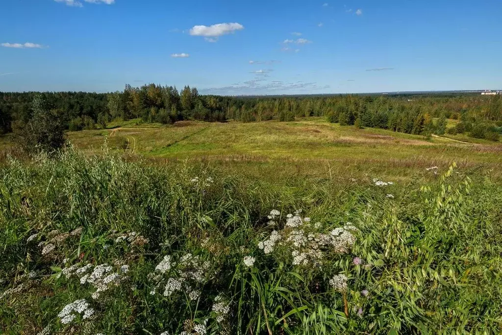 Участок в Ленинградская область, Всеволожский район, Колтушское ... - Фото 0