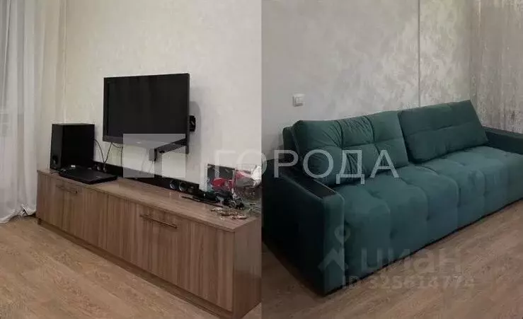 Студия Новосибирская область, Новосибирск ул. Фрунзе, 49/2 (29.0 м) - Фото 1