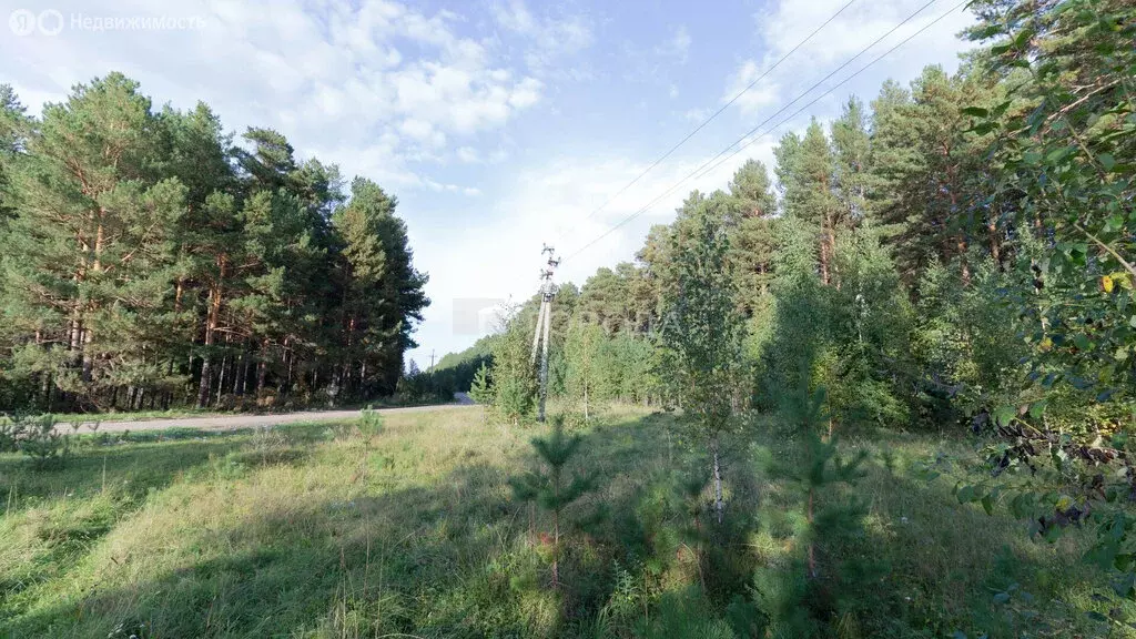 Участок в Томский район, село Половинка (Базанаково), Центральная ... - Фото 1