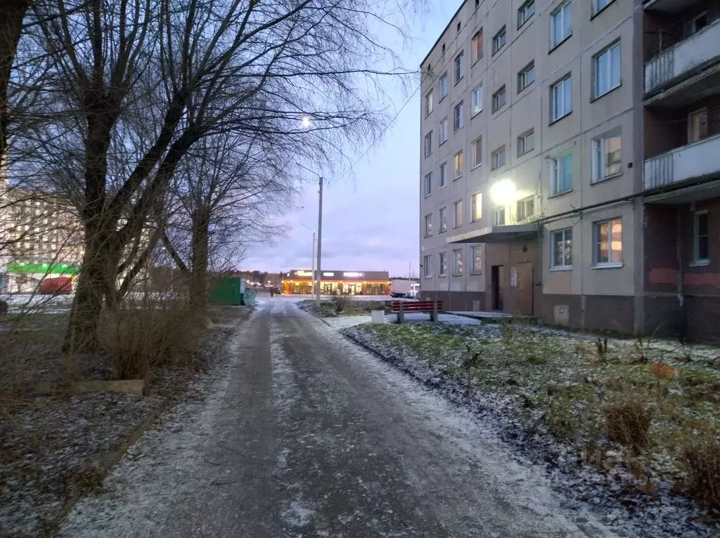 2-к кв. Ленинградская область, Ломоносовский район, Русско-Высоцкое ... - Фото 2