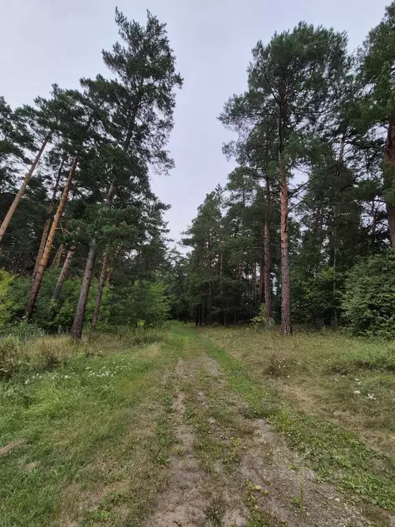 Дом в Алтайский край, Бийский район, Росток СОТ  (40 м) - Фото 1