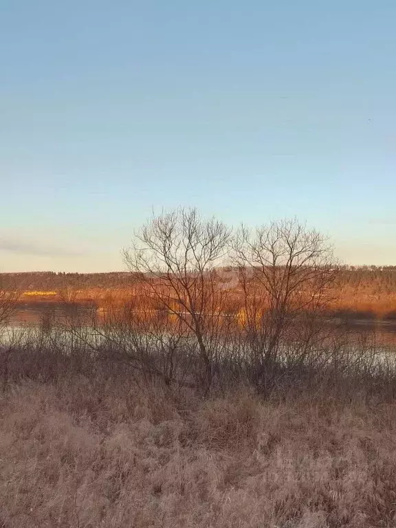 Участок в Иркутская область, Ангарский городской округ, д. Зуй ул. ... - Фото 1