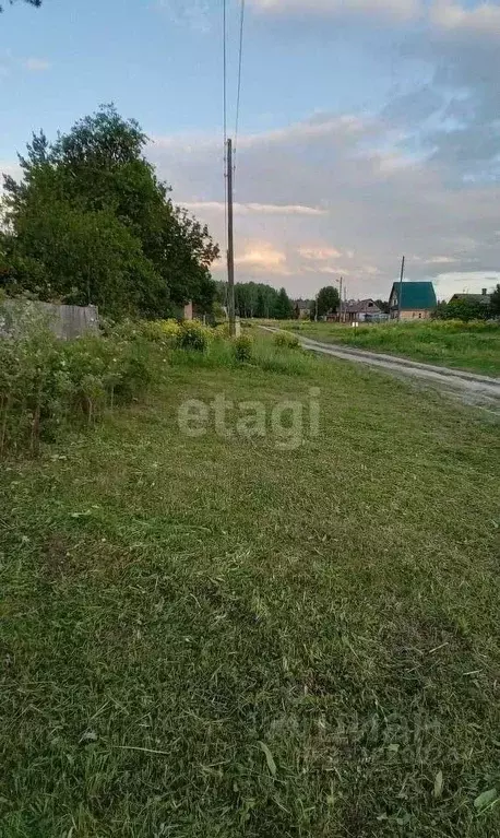 Участок в Новосибирская область, Черепановский район, с. Карагужево ... - Фото 0