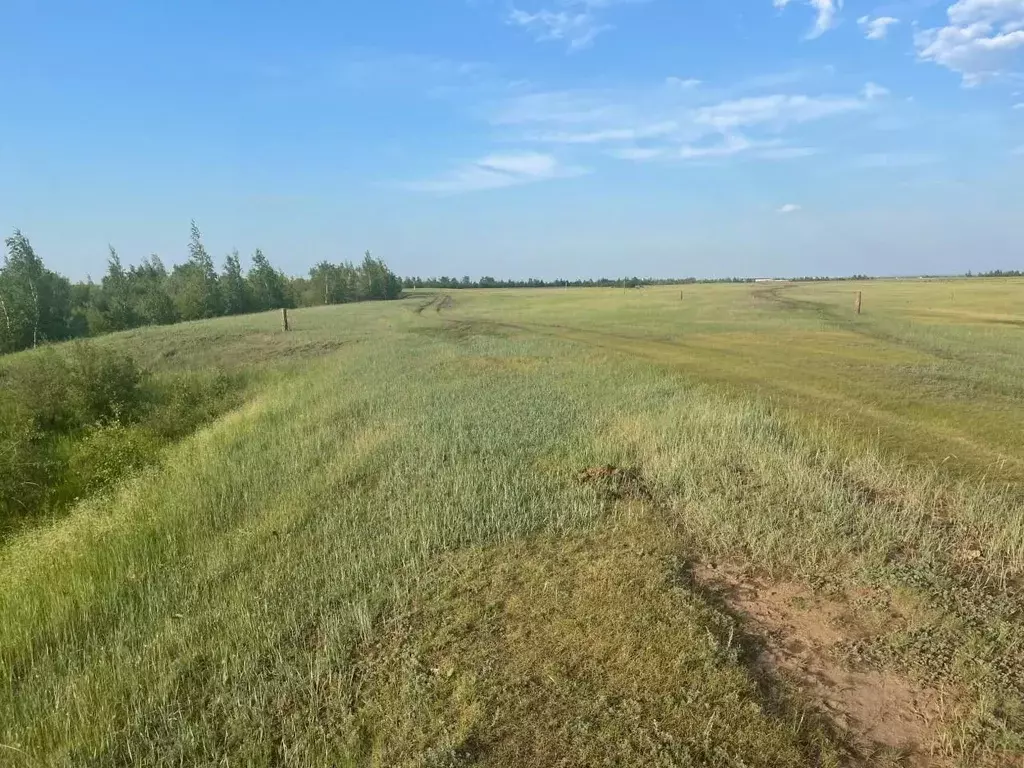 Участок в Саха (Якутия), Якутск городской округ, с. Хатассы  (8.0 ... - Фото 2