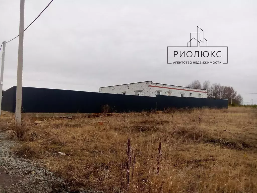 Участок в Челябинская область, Сосновский район, Кременкульское с/пос, ... - Фото 1