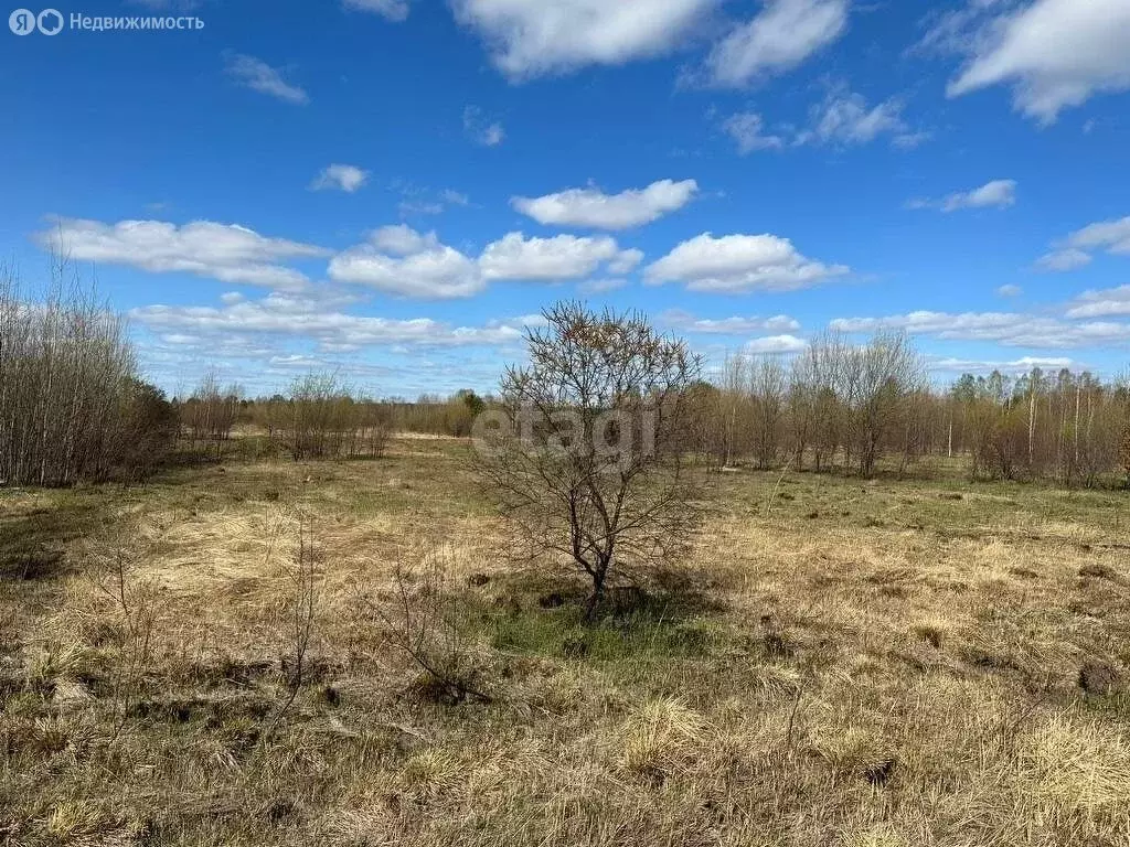 Участок в Нижний Тагил, Тагилстроевский район, село Ольховка (6 м) - Фото 1