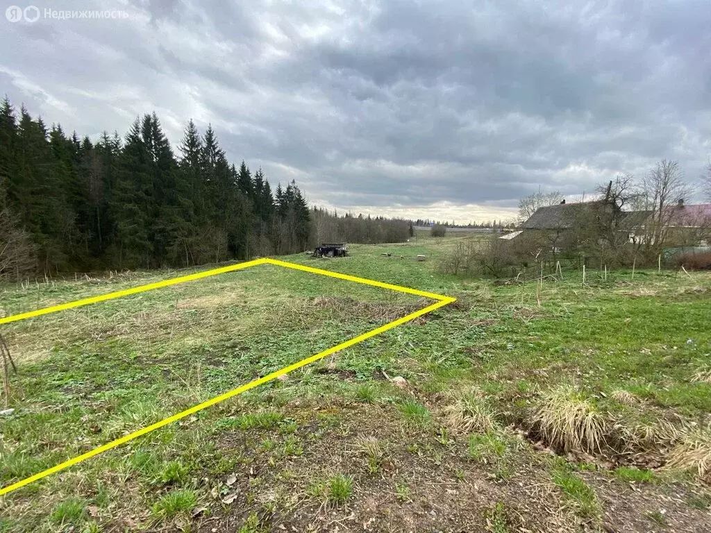 Участок в Ломоносовский район, Кипенское сельское поселение, деревня ... - Фото 2