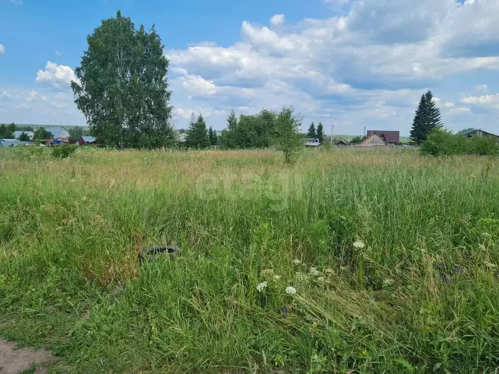 Участок в Свердловская область, Слободо-Туринский район, ... - Фото 1