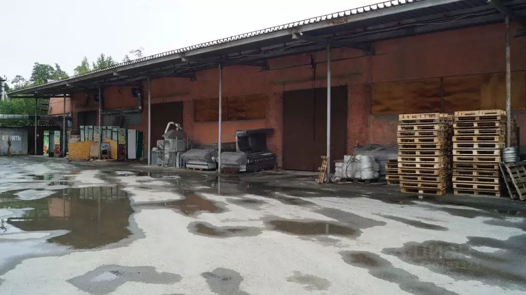 Склад в Свердловская область, Асбест ул. Плеханова, 9/1 (1582 м) - Фото 1