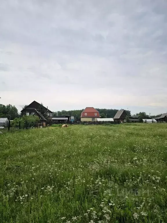 Участок в Московская область, Дмитровский муниципальный округ, д. ... - Фото 2
