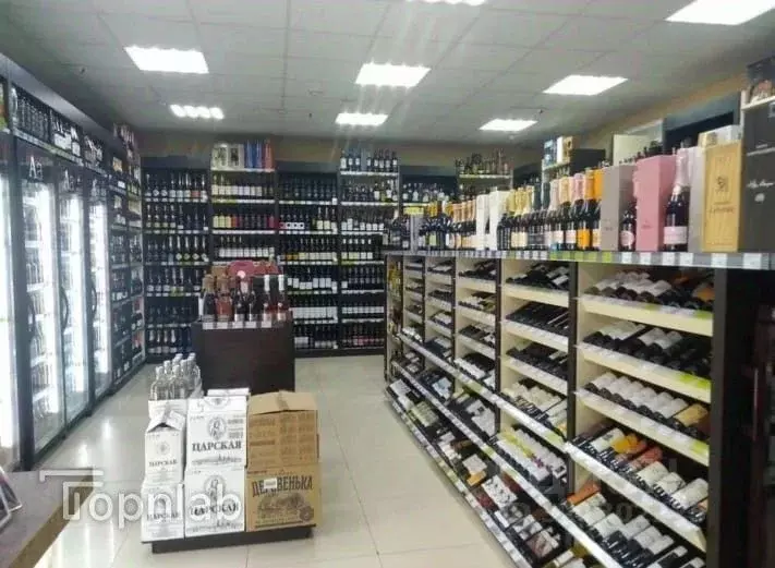 Торговая площадь в Ростовская область, Ростов-на-Дону Тибетская ул., ... - Фото 2