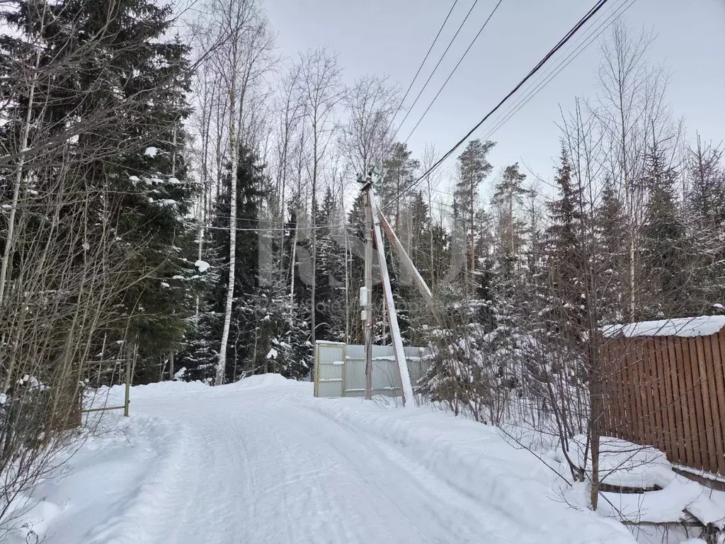Участок в Ленинградская область, Всеволожский район, Сертоловское ... - Фото 2