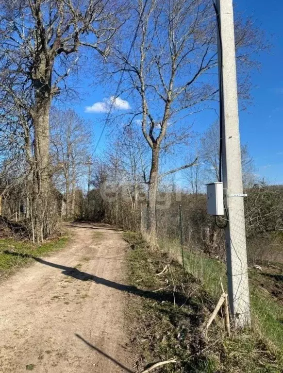 Дом в Псковская область, Палкинская волость, д. Бенево  (15 м) - Фото 1