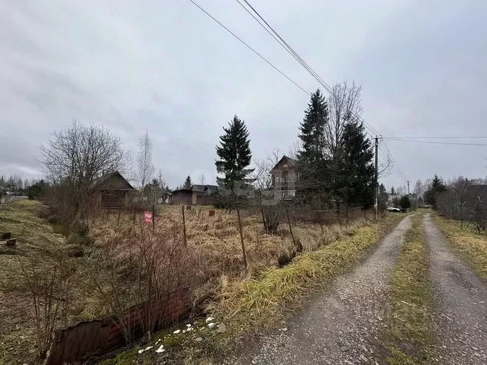 Участок в Ленинградская область, Тосненский район, Трубникоборское ... - Фото 0