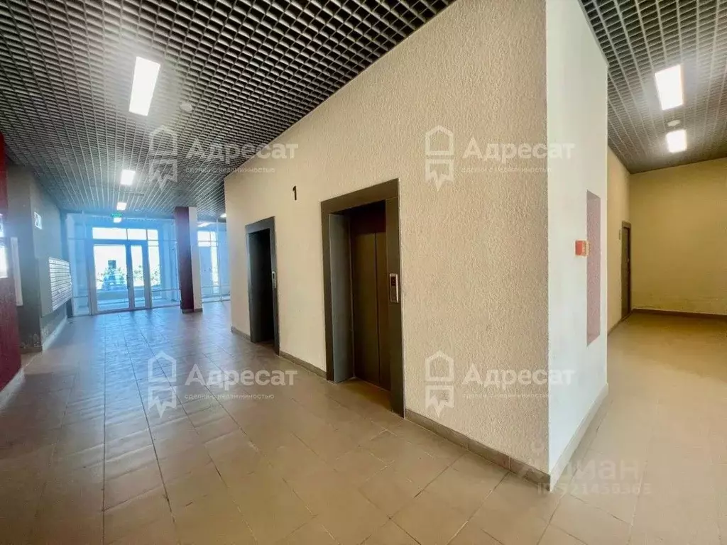 1-к кв. Волгоградская область, Волгоград Родниковая ул., 66 (36.3 м) - Фото 2