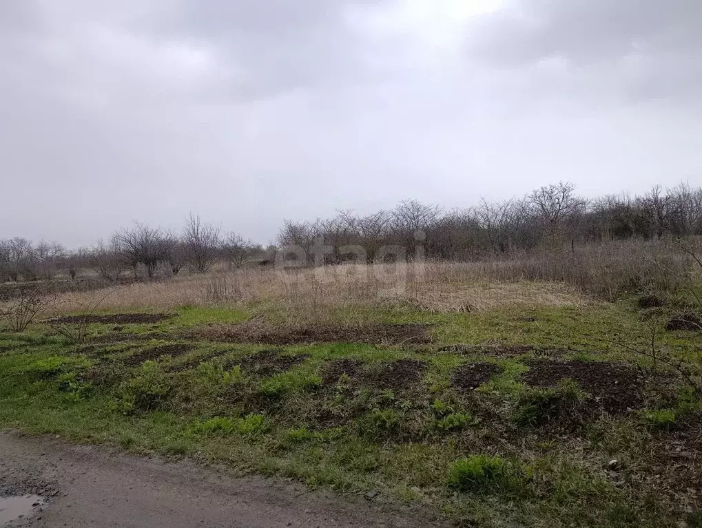 Участок в Белгородская область, Корочанский район, Мелиховское с/пос, ... - Фото 1