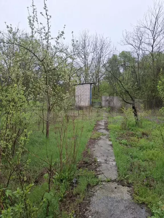 Участок 8,5 сот. (ИЖС) - Фото 1