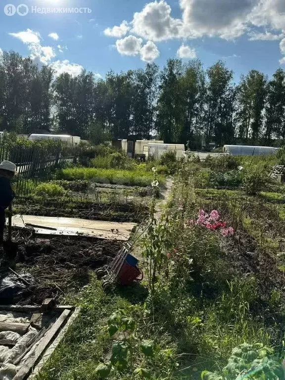 Участок в Новосибирск, СТ Заря-1 (6.4 м) - Фото 2