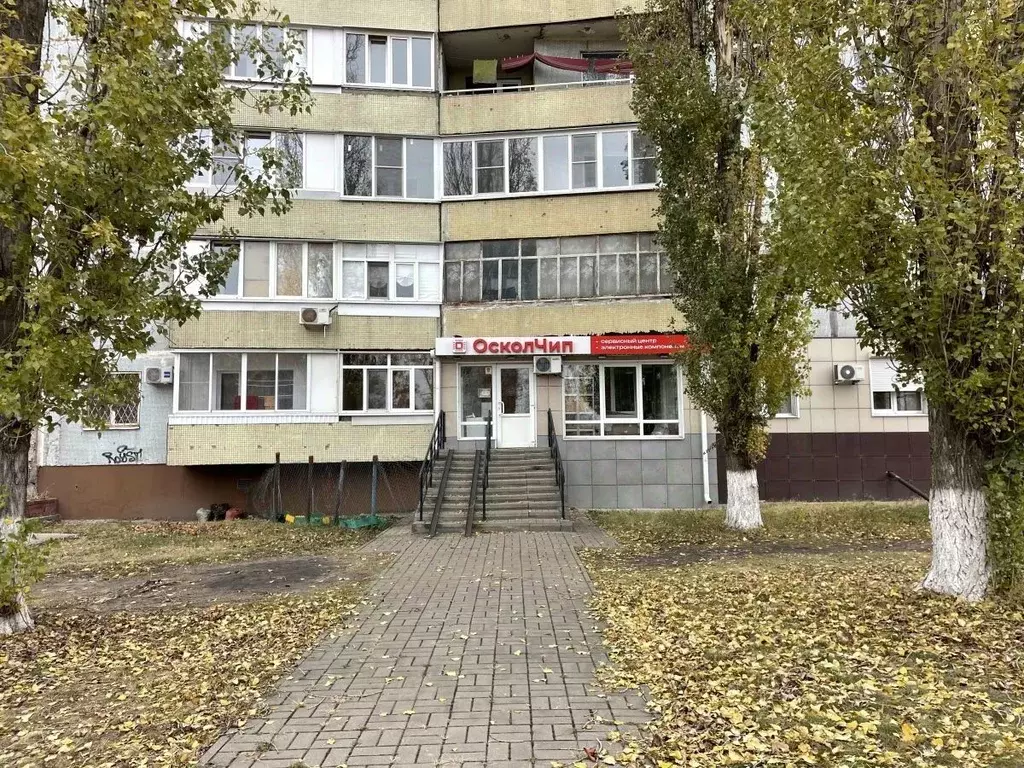 Помещение свободного назначения в Белгородская область, Старый Оскол ... - Фото 1