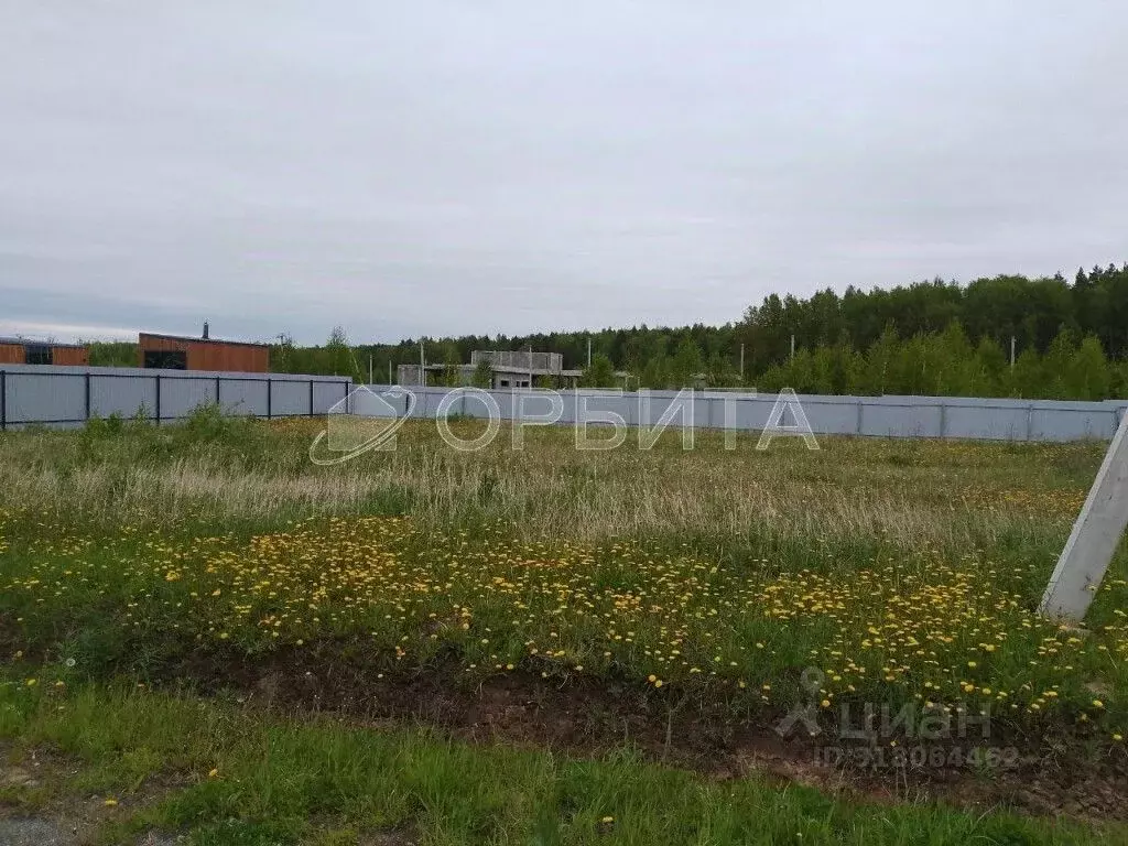Участок в Тюменская область, Тюменский район, с. Кулига  (7.25 сот.) - Фото 0