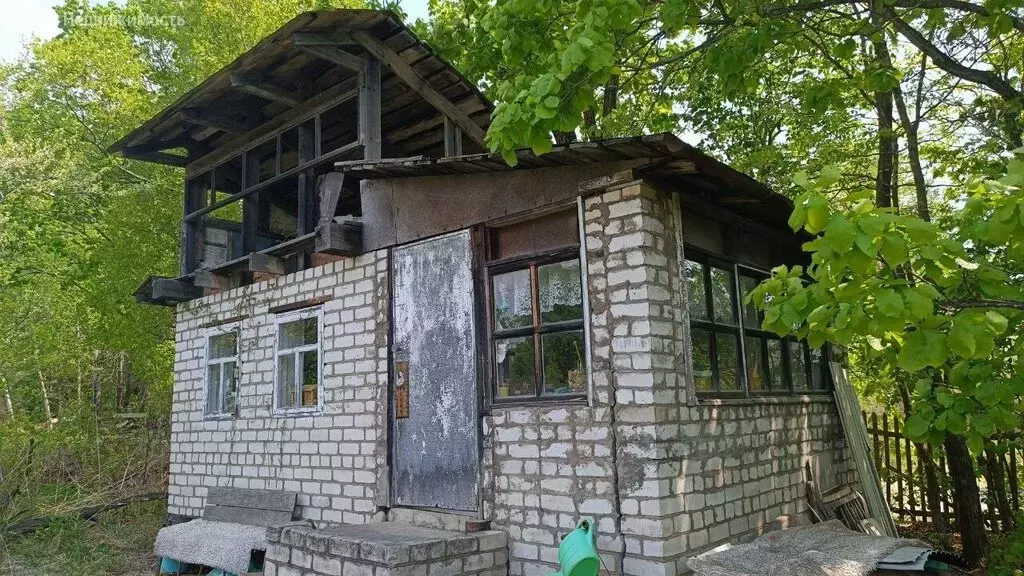 Участок в Приморский край, Надеждинский муниципальный округ, посёлок ... - Фото 1