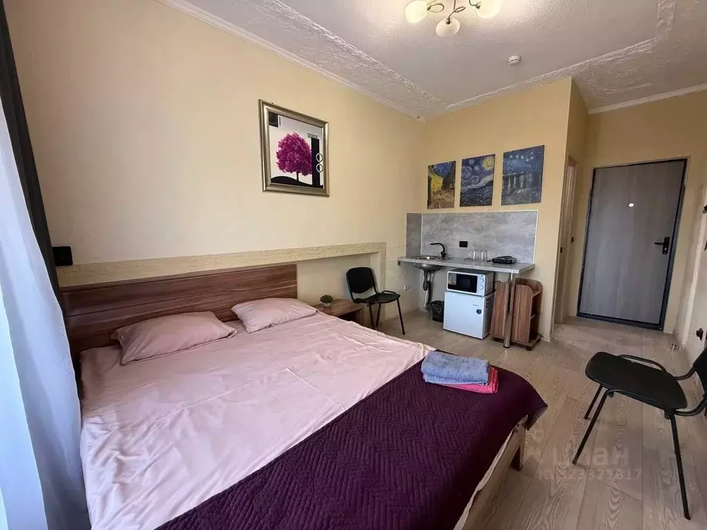 1-к кв. Бурятия, Улан-Удэ просп. Победы, 16 (24.0 м) - Фото 2