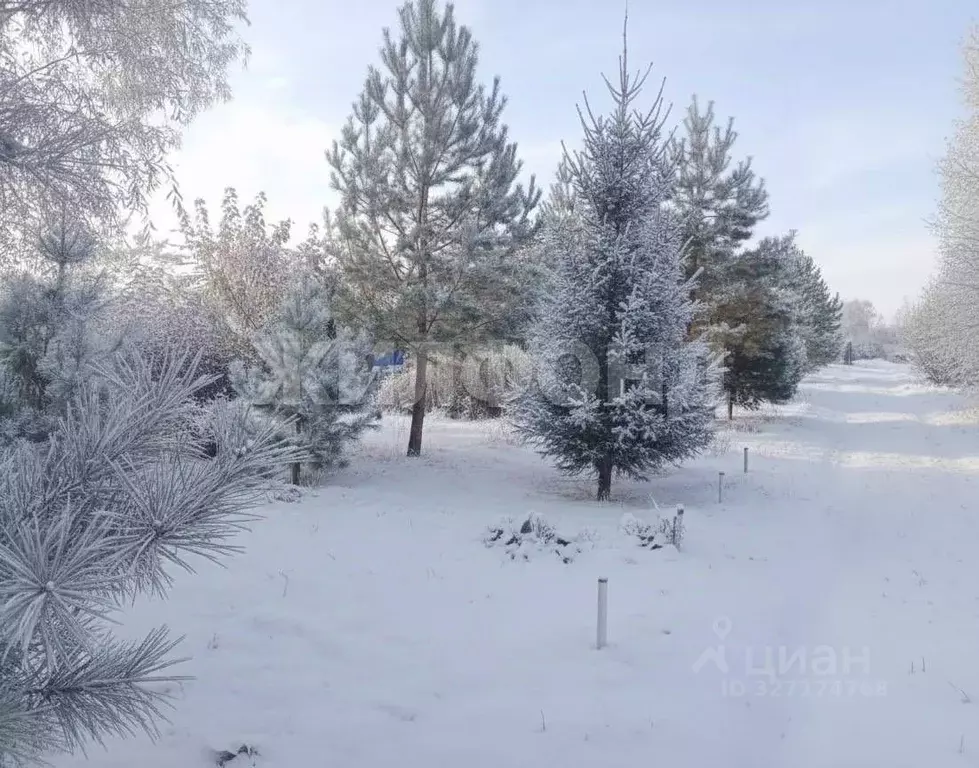 Участок в Новосибирская область, Колыванский район, Аква СНТ  (12.0 ... - Фото 1