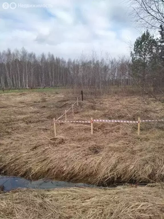 Участок в деревня Бояркино, Луговая улица (10 м) - Фото 2