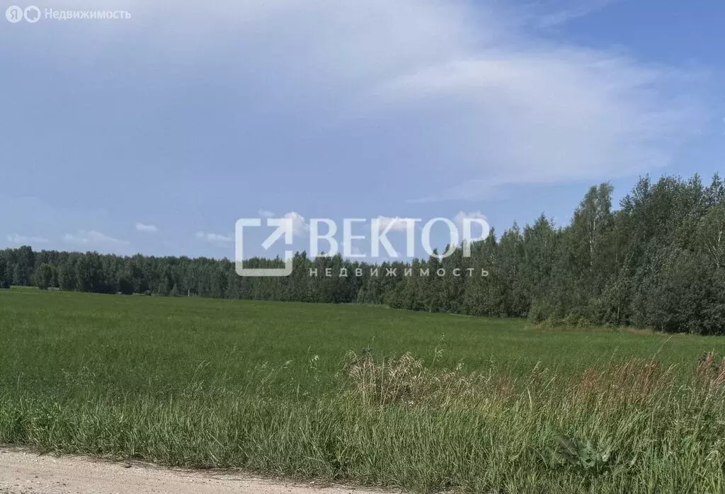 Участок в Ярославский муниципальный округ, деревня Васильевское (10 м) - Фото 1