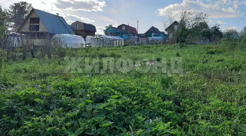 Дом в Новосибирская область, Новосибирск Золотая Горка СНТ,  (10 м) - Фото 2